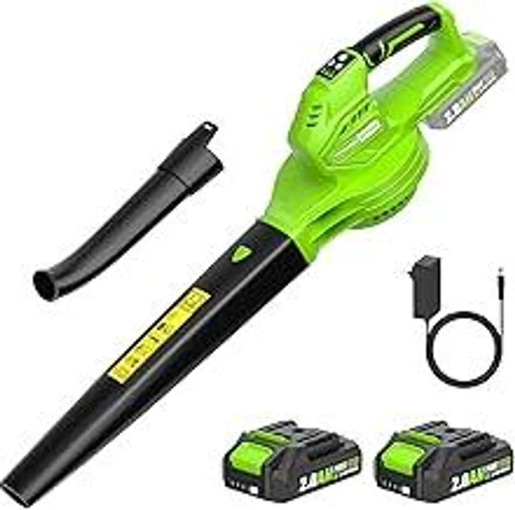 Soffiatore Elettrico Senza Fili 3 Velocità Motore Brushless 2 Batteria