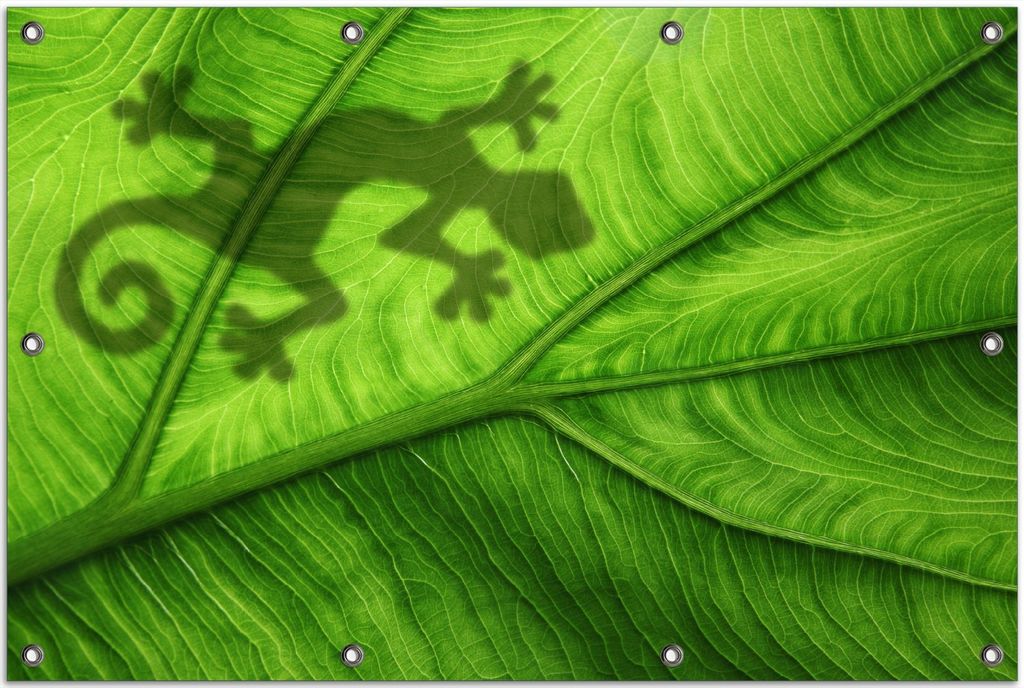 Wallario Outdoor-Poster für Garten oder Balkon, Motiv Gecko Schatten auf grünem Blatt - Umriss, in ca. 80 x 120 cm