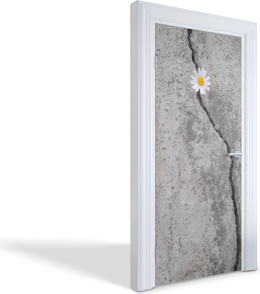 Innentür Folie Modern Selbstklebende Wandsticker Personalisiert - Blume aus Beton - 95 x 205 cm