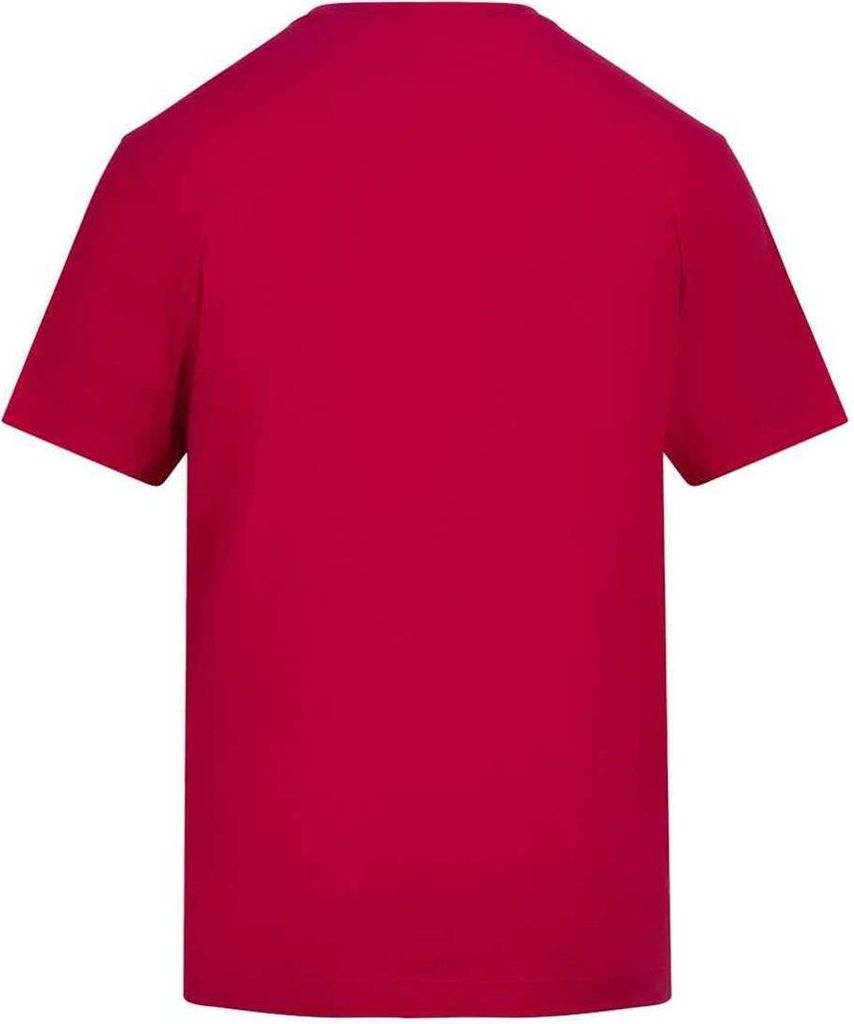 Awdis - T-Shirt für Herren/Damen Uni PC7768 (XL) (Violett)