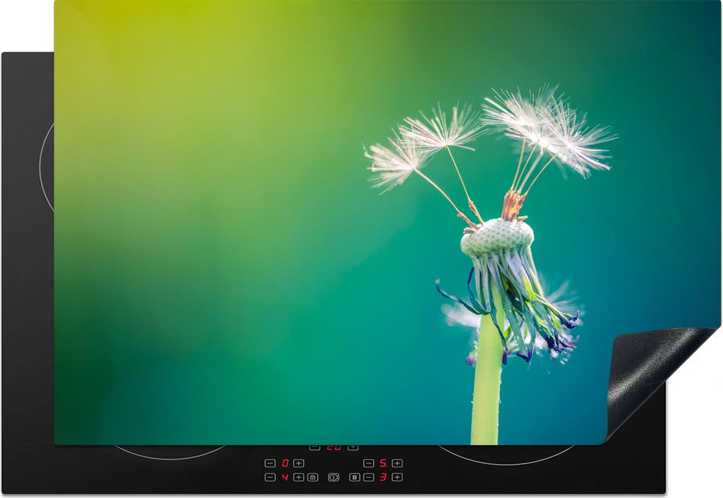 KitchenYeah Herdabdeckplatte Löwenzahn mit ein paar Samen , 77x51cm, Küche Deko, Glaskeramikkochfeld Herdabdeckung, Abdeckplatte fùr Kochfeld