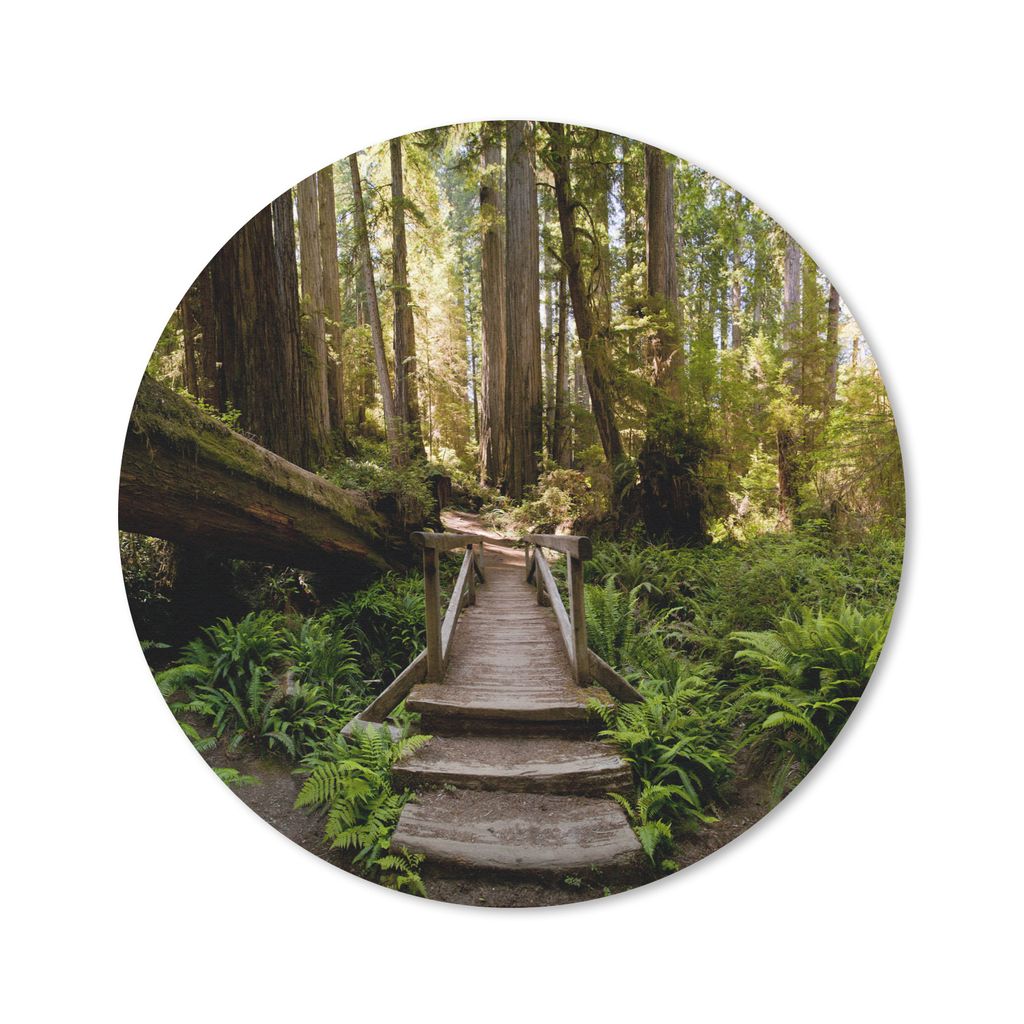 MuchoWow Mauspad Mousepad Dschungel - Natur - Treppe - Bäume 20x20 cm - Mousepads - Maus Mat - Pad - Mausunterlage - Schreibtischmatte