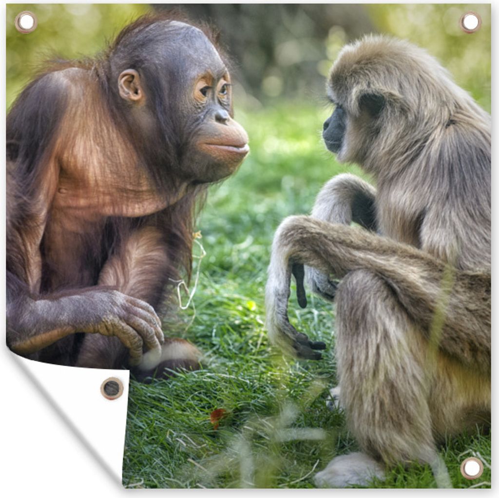 MuchoWow 50x50 cm Outdoor-Poster Gartendeko Sichtschutz Garten Poster für den Garten Affen - Tiere - Familie