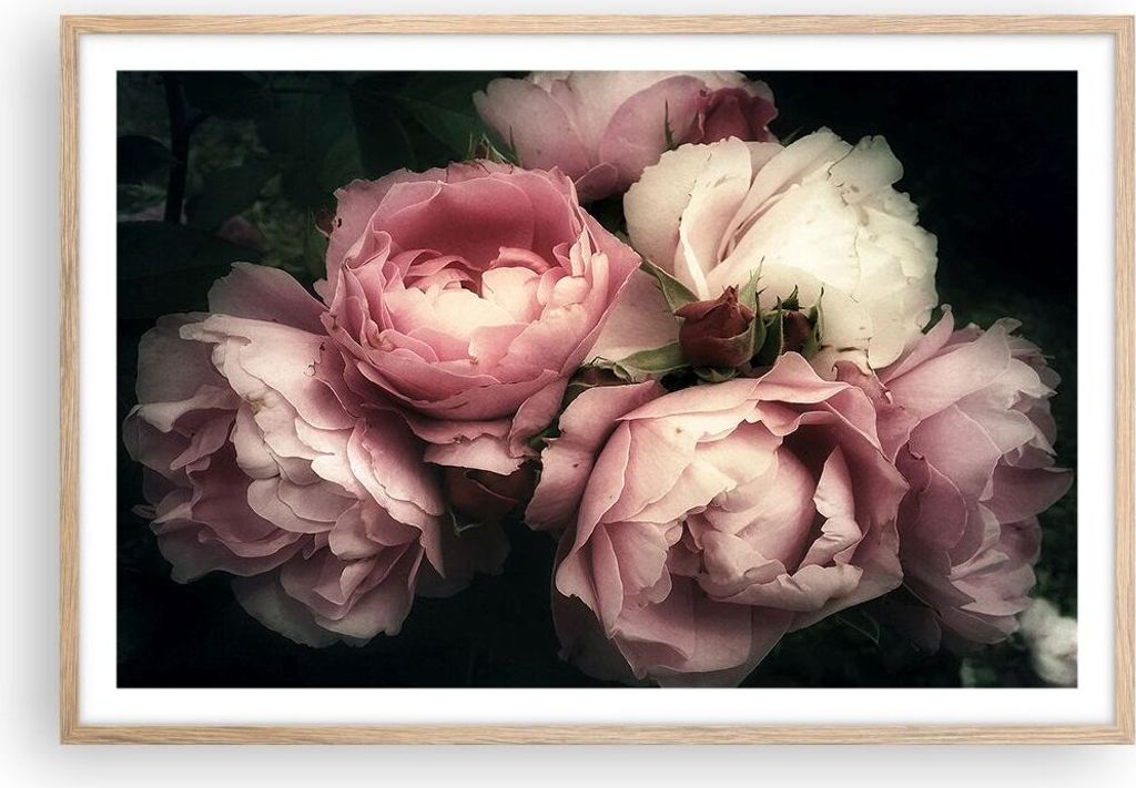 Gerahmtes Poster - Rahmen in heller Eiche - Pfingstrose Blume - 91,5x61 cm - Wand Bild - Wanddeko - Wandbilder - Wandposter - Bilderrahmen - Bilder...