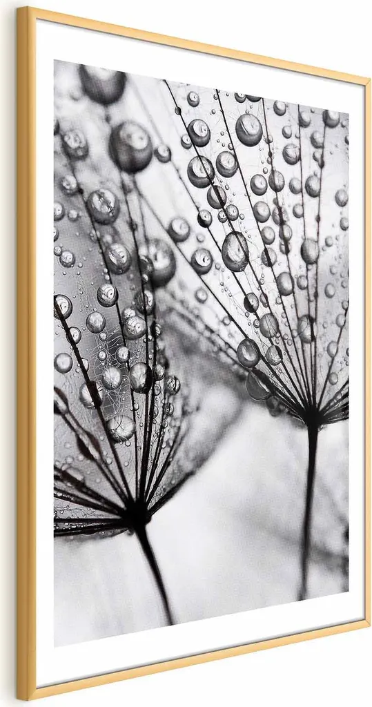 Poster Rosa 40x60 cm con cornice dorata con margine