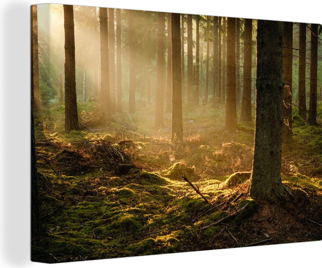 OneMillionCanvasses - Leinwandbilder - 150x100 cm, Licht - Baum - Herbst, Wandbilder Kunstdruck Wanddekoration