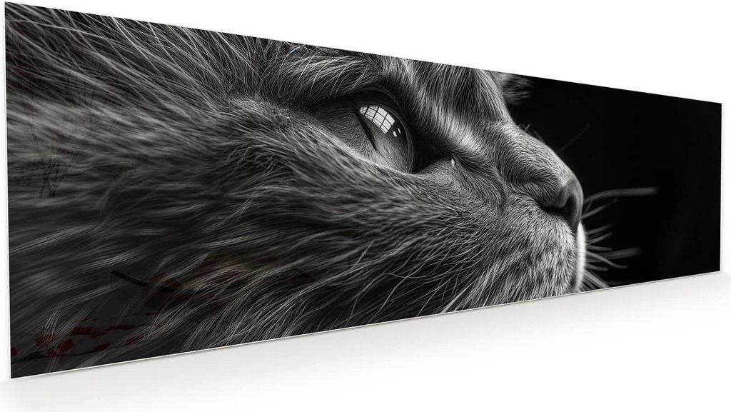 Glasbild 120x40cm in XXL für Wohnzimmer, Schlafzimmer Motiv Nahaufnahme Katze