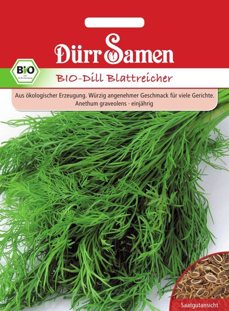 Dill Blattreicher | -Dillsamen von Dürr Samen
