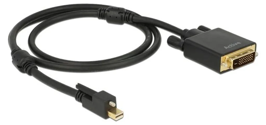 Câble Mini DisplayPort vers DVI-D Delock 1m pour Écran PC Full HD