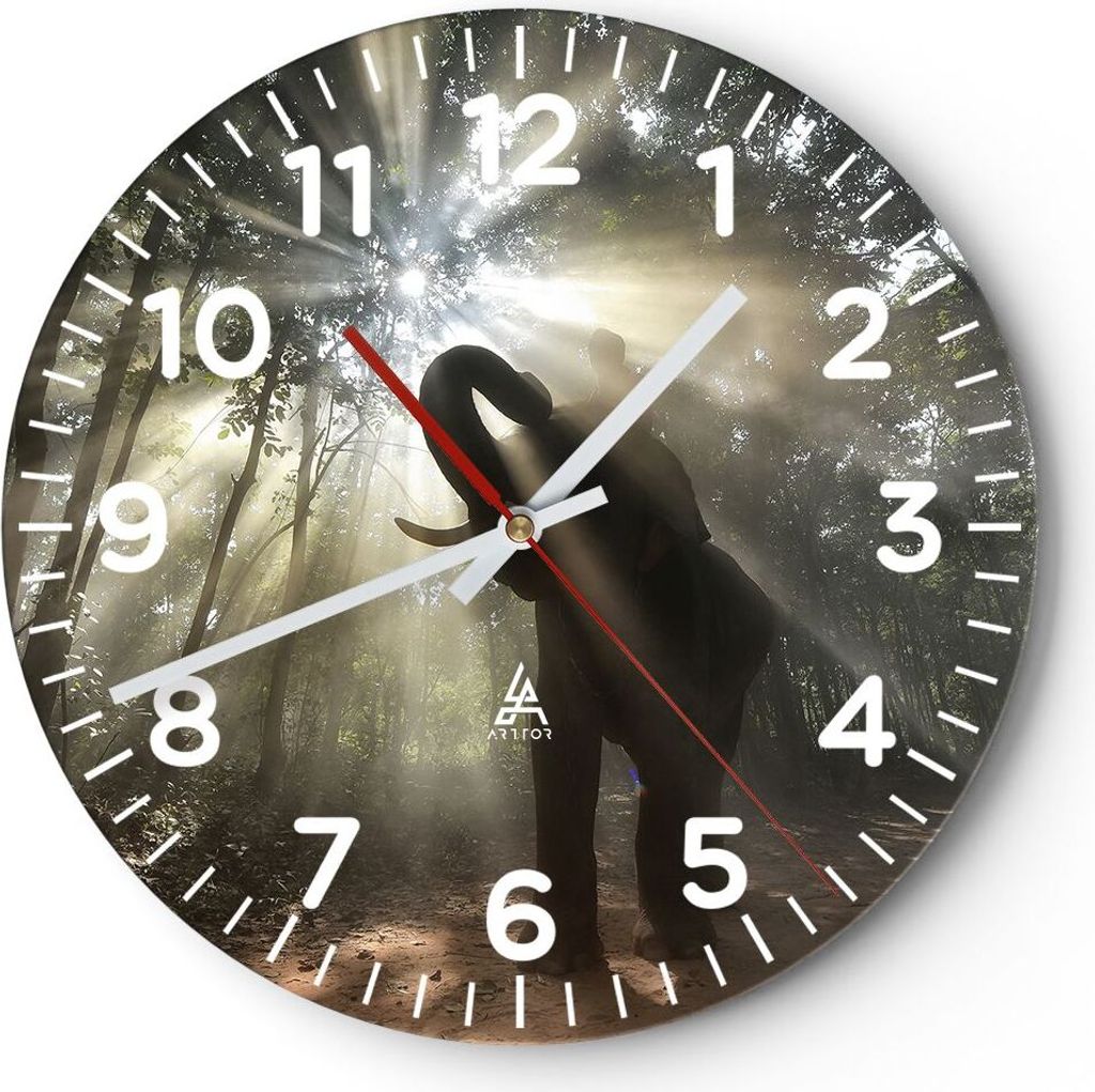 Wanduhr - Rund - Glasuhr - Elefant Dschungel - 30x30cm - Schleichendes Uhrwerk - Lautlos - zum Aufhängen bereit - Dekoration Modern - Wanddekorat...