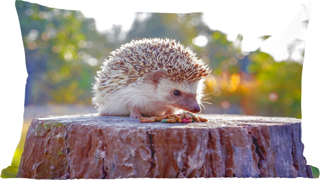 MuchoWow Zierkissen Sofakissen Wohnzimmer Dekokissen 50x30 cm Essender Igel - Wohnzimmerdekoration - Polster mit Photo