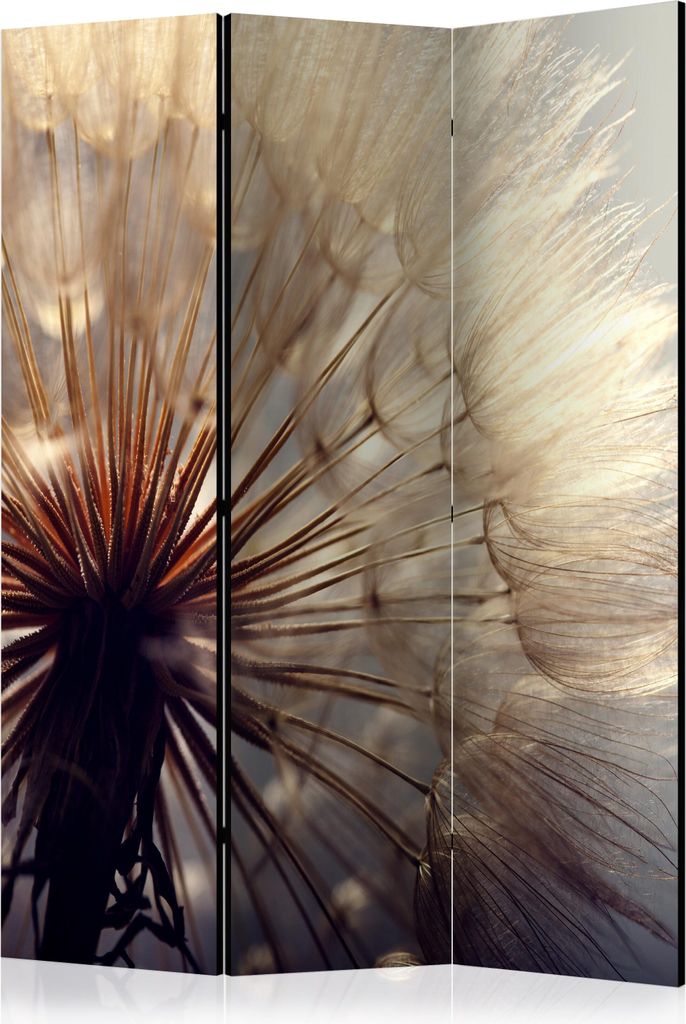 3-teiliger Doppelseitiger Vlies Paravent - Dandelion Kiss 135x172 cm Blumen b-B-0137-z-b