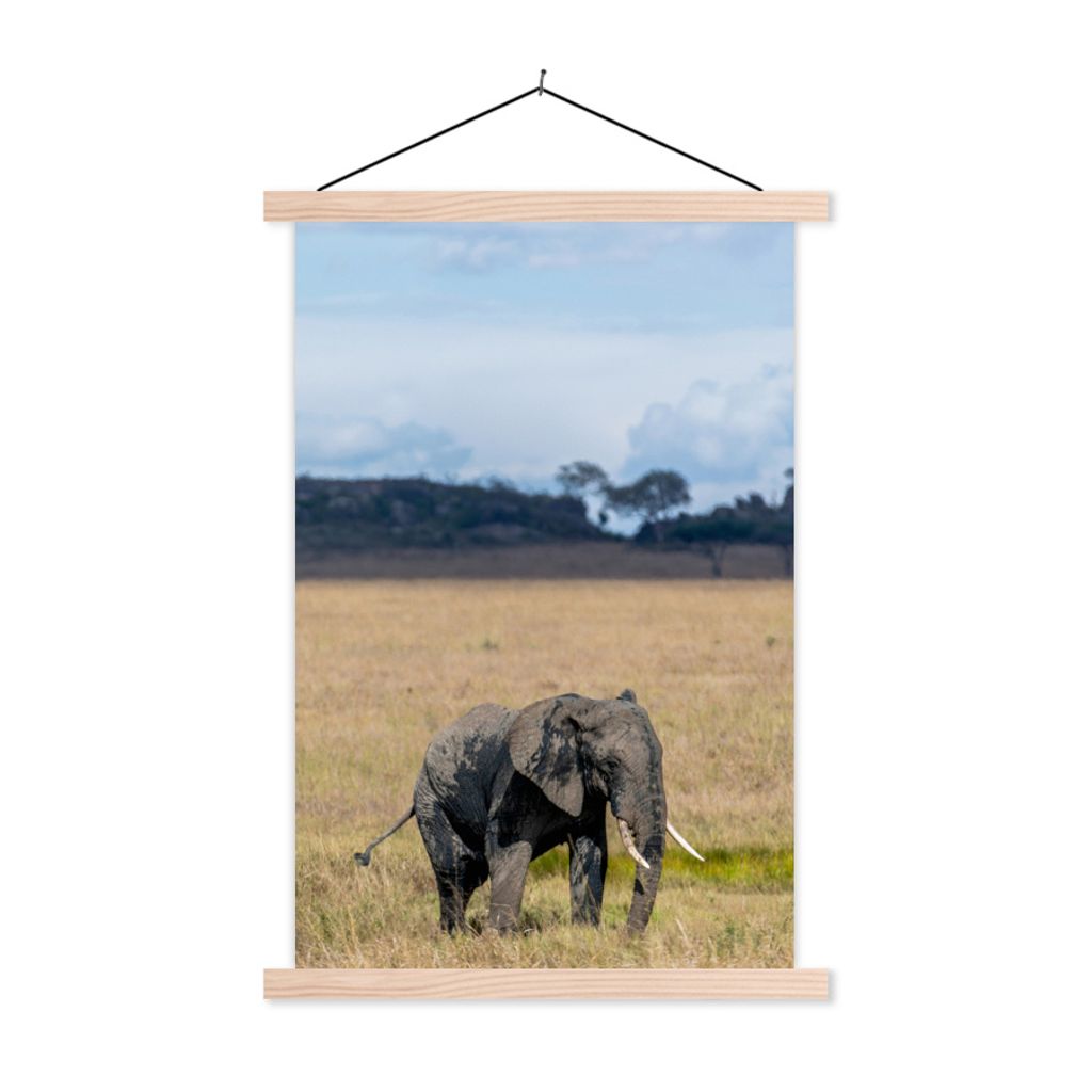 MuchoWow Textilposter Elefant - Gras - Tiere - Natur 120x180 cm mit holzfarbenen Rahmen - Textil-Plakat