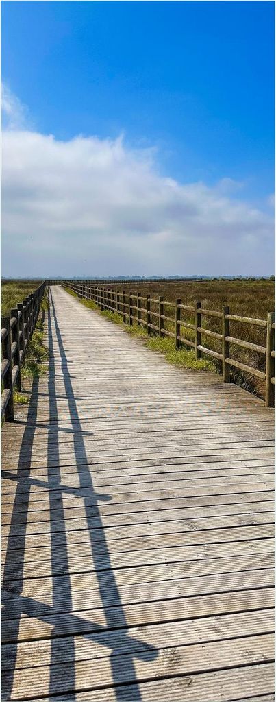 Wallario selbstklebendes Poster - Holzsteg durch Moorlandschaft, Größe: 50 x 125 cm