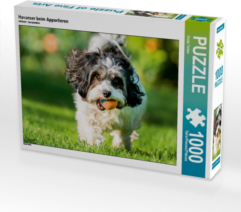 Calvendo Havanser beim Apportieren 1000 Teile Puzzle quer 640x480mm, Teßen Sonja; 7434511