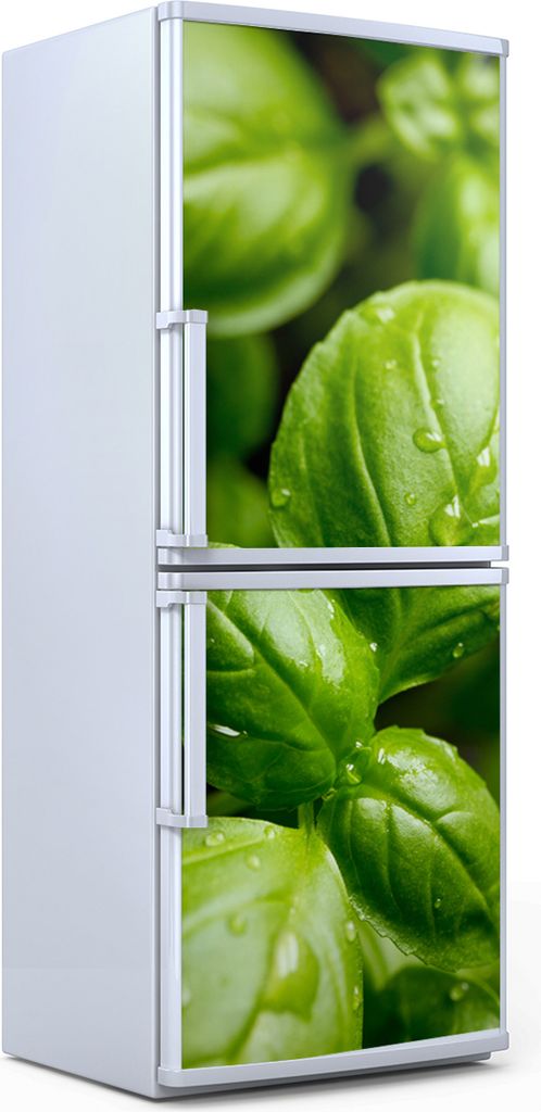 Kühlschrankdekoration 70x180 cm Aufkleber auf dem Kühlschrank - Genovese Basilikum Blätter