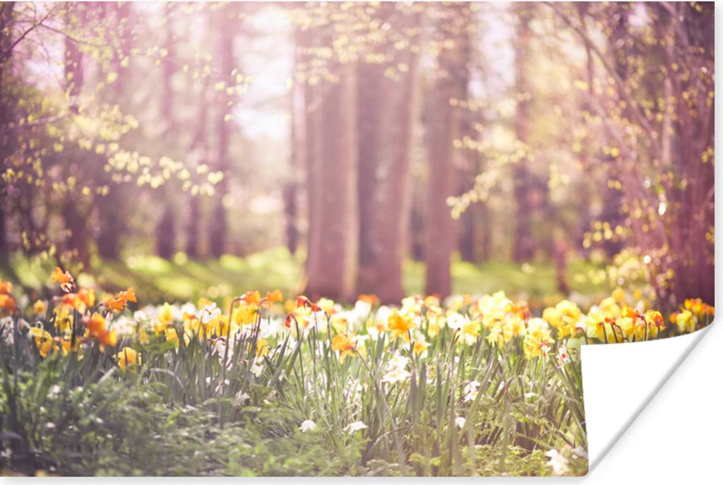 MuchoWow Poster Frühling - Narzissen - Bäume 90x60 cm - Schlafzimmer