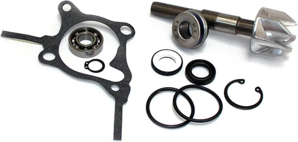 Kit turbine et joints SGR pompe à eau Honda Foresight 250 Jazz