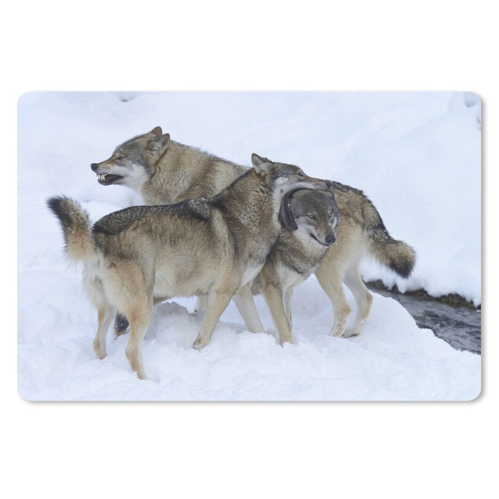 MuchoWow Schreibtischunterlage Wolf - Europa - Schnee 60x40 cm - XXL Mauspad - Großes Mauspad