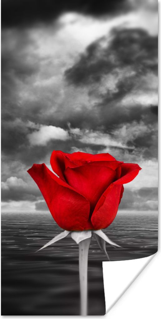 MuchoWow Poster Schwarz-Weiß-Fotografie einer roten Rose vor einem Meer und einem bedeckten Himmel 80x160 cm - Kinderzimmer