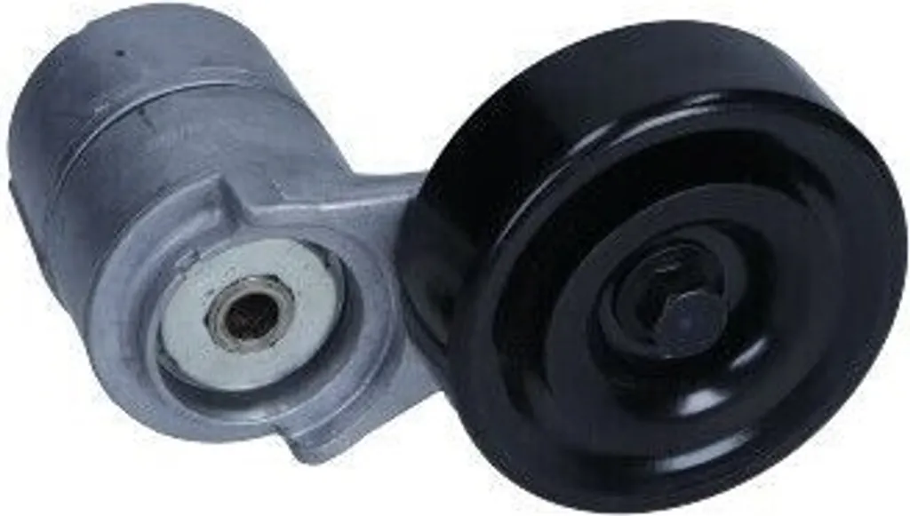 Pièce de rechange galet tendeur 25281 3E000 pour Carnival III VQ