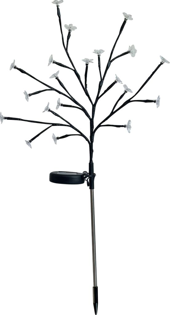 Sonnenblühender Strauch - GALIX - G4505 - H72