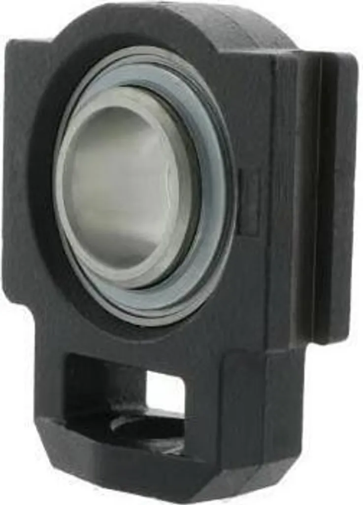 Boîtier de serrage fonte RTUE30 INA 30mm haute résistance radiale