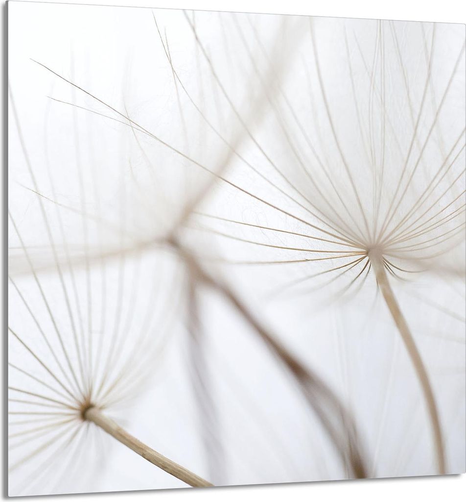 GLASPLATTE FÜR KÜCHE 60x65 Blume