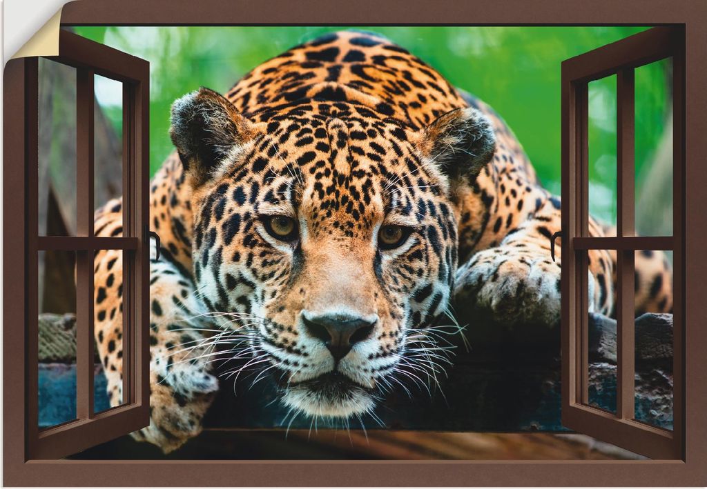 ARTland Wandbild, selbstklebend Fensterblick - Südamerikanischer Jaguar Größe: 70x50 cm