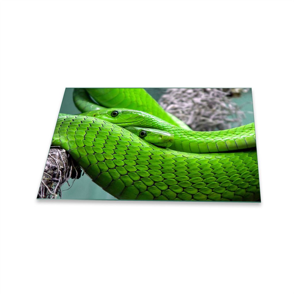 Herdabdeckplatte Glaskeramik 1 Teilig 80x52 Tiere Grün Abdeckung Glas Spritzschutz