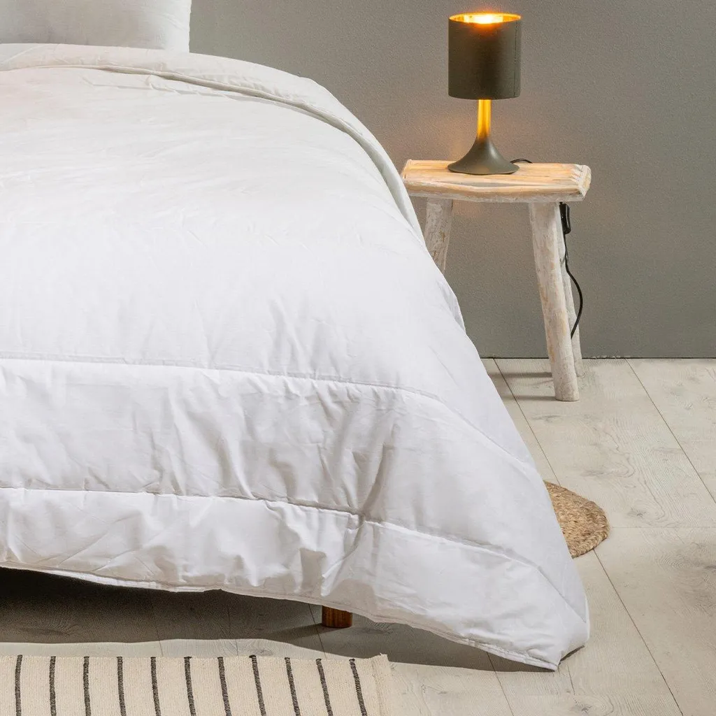 Dormez sans Punaises : Couette Chaude 240x260 cm Protection Active