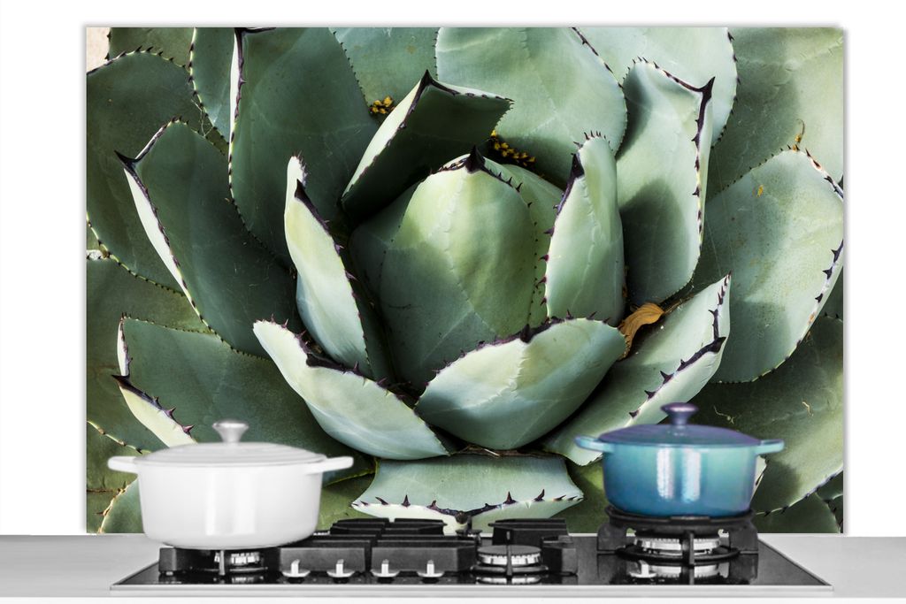KitchenYeah Spritzschutz Küche - Küchenrückwand - Wandschutz für Herd und Spüle - Detail eines mintgrünen Kaktus 120x80 - Alu-Dibond (Alte...