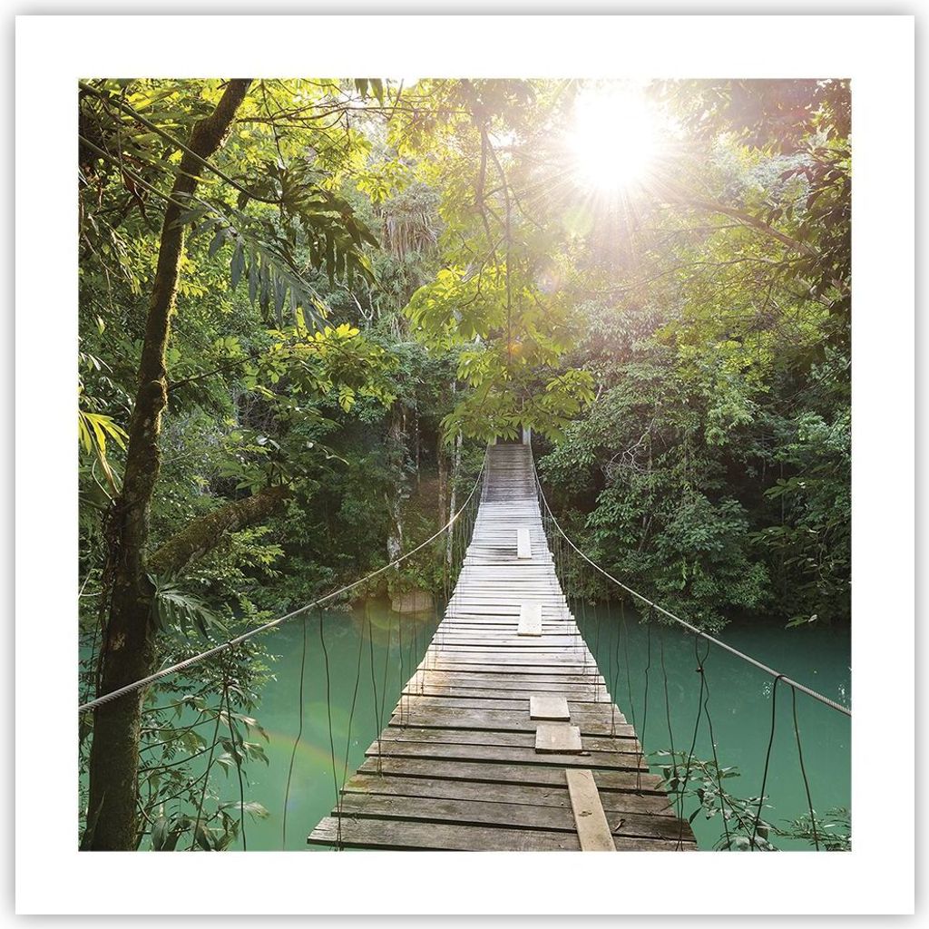 Poster - Poster ohne Rahmen - Brücke Seil Dschungel - 50x50 cm - Wand Bild - Wanddeko - Wandbilder - Kunstposter - Wandposter - Bilder - Kunstdruc...