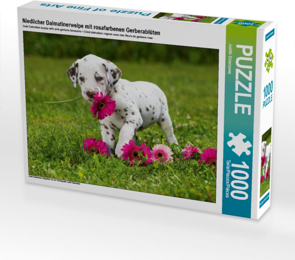 CALVENDO Puzzle Niedlicher Dalmatinerwelpe mit rosafarbenen Gerberablüten | 1000 Teile Lege-Größe 64x48cm Foto-Puzzle für glückliche Stunden