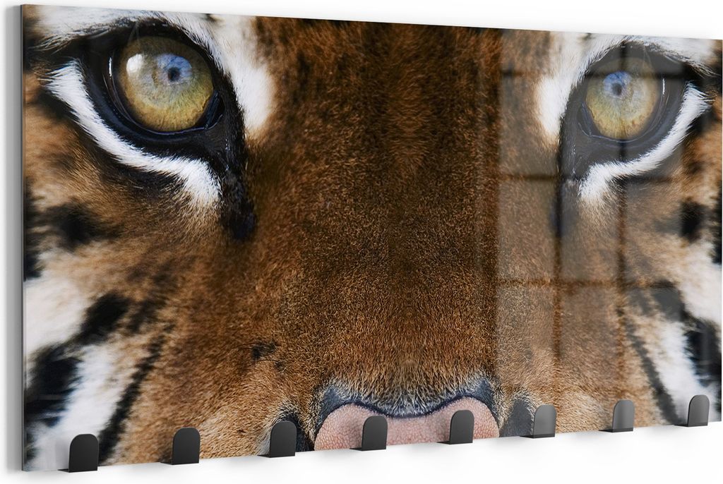DEQORI Kleiderhaken Glas 60x30 cm 'Tigerblickfaszination' Wand Garderobe beschreibbar Paneel
