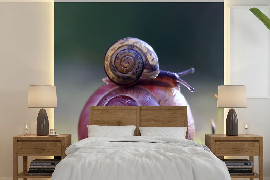 MuchoWow Fototapete für Wohnzimmer oder Schlafzimmer Wandtapete Vinyl Motivtapete Schnecken - Gras - Frühling - 280x280 cm - Hintergrundbild