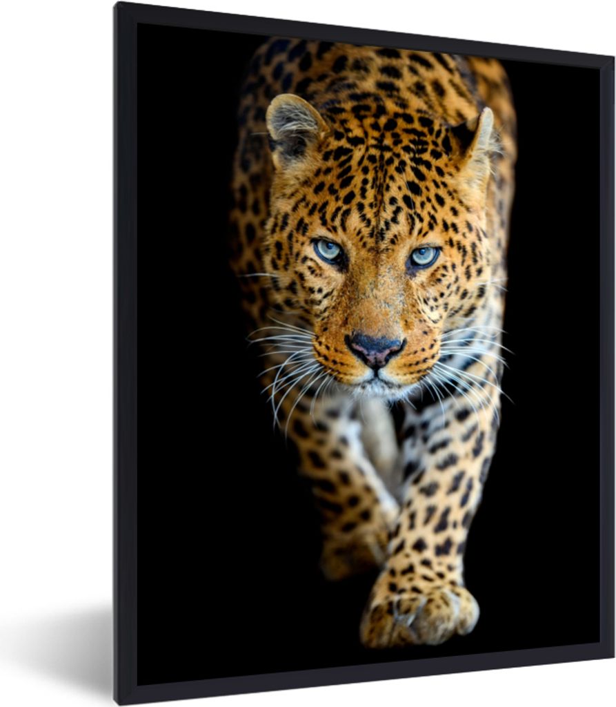 MuchoWow Gerahmtes Poster Leopard - Tiere - Porträt - Wildtiere - Schwarz 60x80 cm - Poster mit Schwarzem Bilderrahmen Wandposter Rahmen Foto Bi...