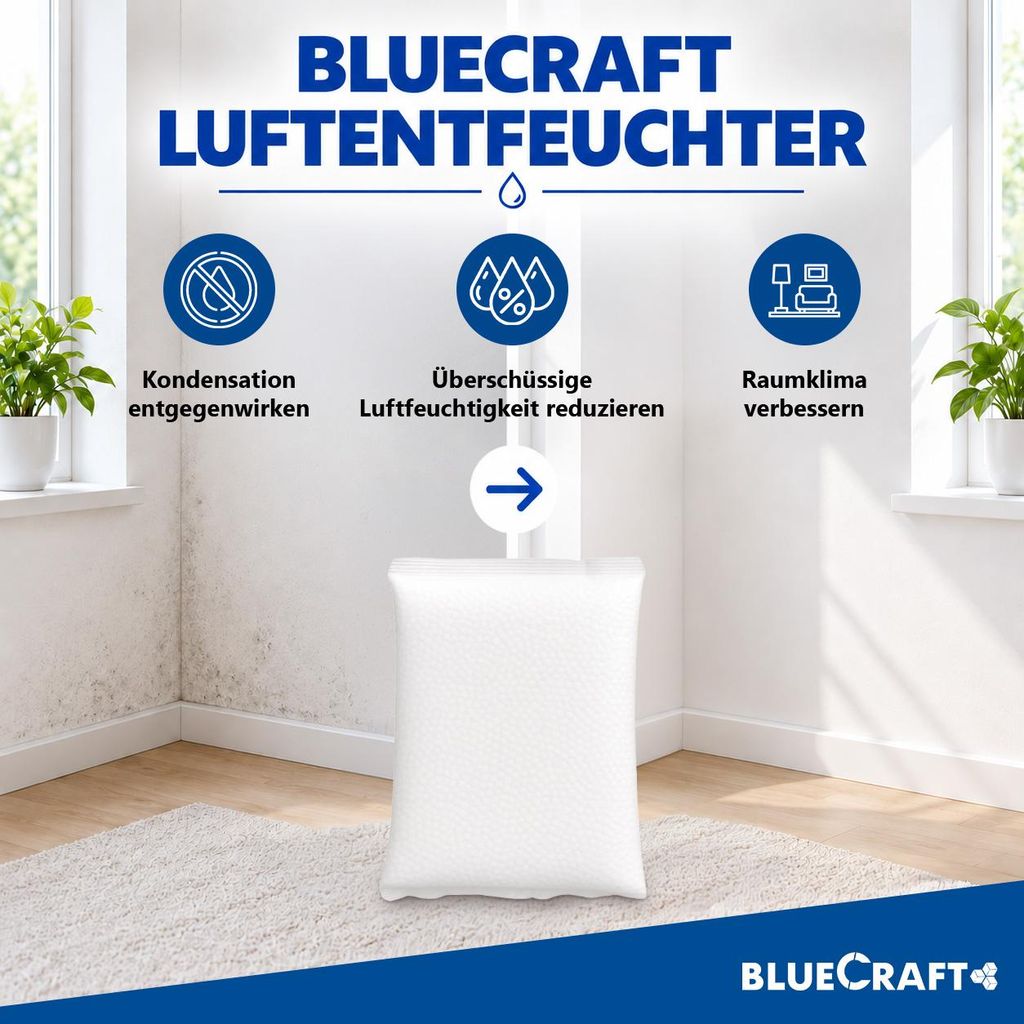 10x 1kg Luftentfeuchter Granulat Nachfüllpack + Box MEGA