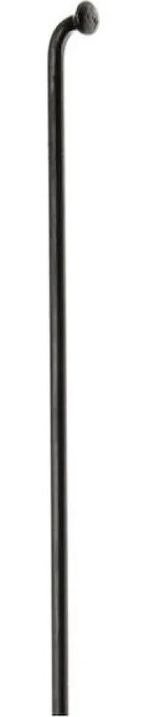 Rayon 300 mm DT Swiss Champion 2.34 Noir pour Roue de Vélo Électrique