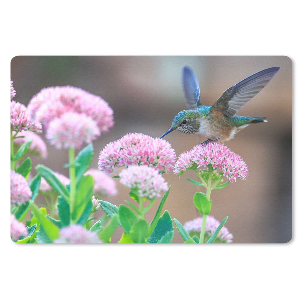 MuchoWow Schreibtischunterlage Blumen - Vogel - Kolibri 60x40 cm - XXL Mauspad - Großes Mauspad