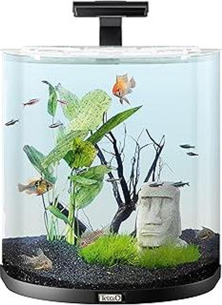 Tetra Explorer Line 60 L Aquarium Komplett-Set - Design Aquarium mit gebogener Frontscheibe, LED-Beleuchtung, Technik, Futter und Pflegemitteln, Fa...