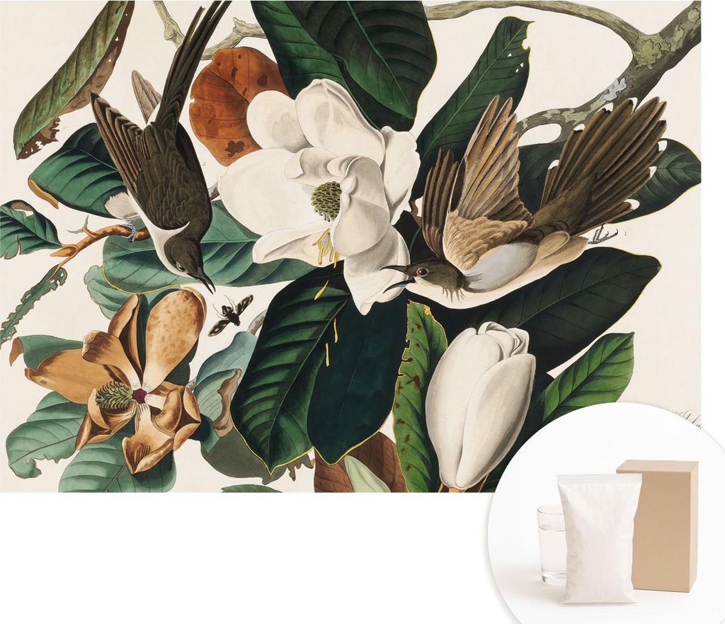 Fototapete - Wandbilder für Wohnzimmer - 208x146 cm - Dekorative Wandfolie - Modernes Design für Wanddekoration - Tapeten für Innenräume - Vög...