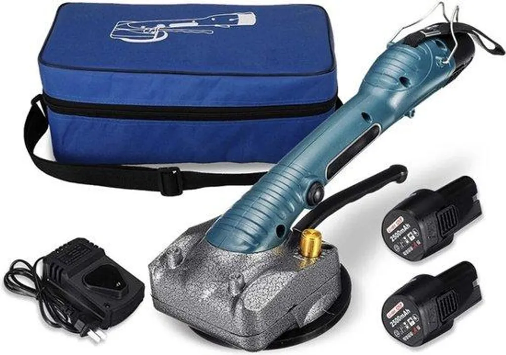 Ponceuse électrique carrelage 2000W bleue avec 2 batteries au lithium