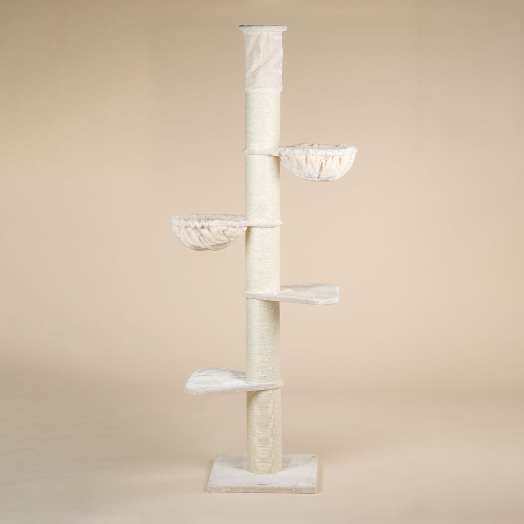 RHRQuality Arbre à chat pour grands chats - Maine Coon Image du produit 