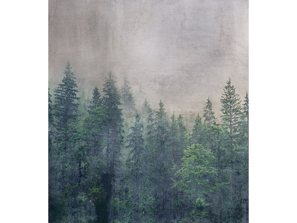 Fototapete - Forest Abstract 225x250cm - Vliestapete
