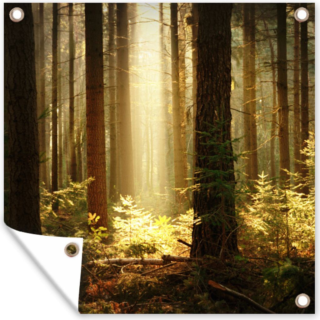 MuchoWow 100x100 cm Outdoor-Poster Gartendeko Sichtschutz Garten Poster für den Garten Wald - Bäume - Sonne