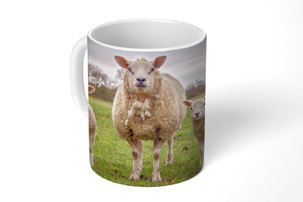 KitchenYeah Tasse Kaffeetasse Kaffeebecher 350 ml Schafe - Nutztiere - Porträt Teetasse - Fototasse - Becher - Keramikbecher - Teebecher - Kaffe...