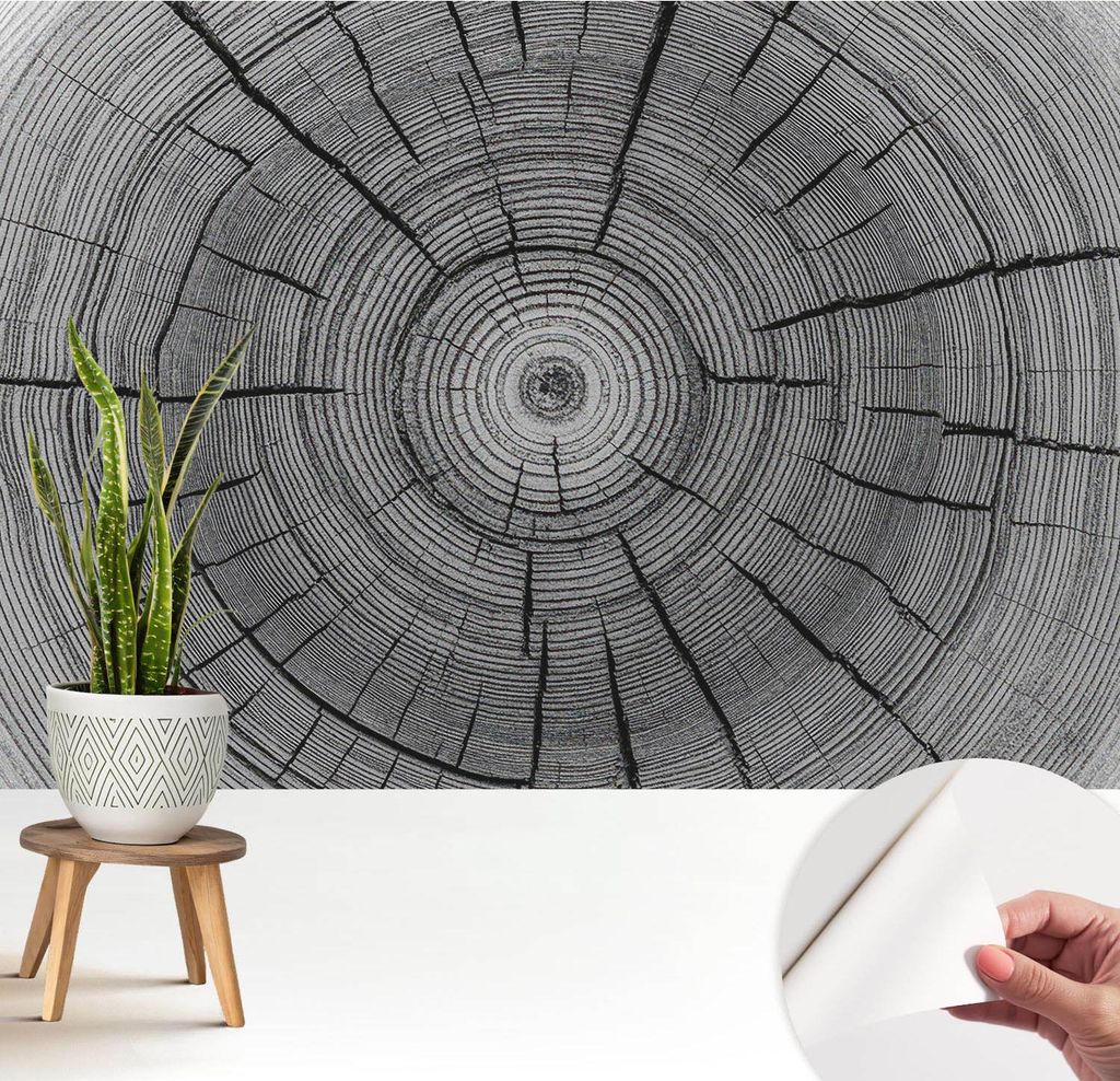 Fototapete selbstklebend - 208x146 cm - Tapete - Wandtapete - Wandbilder - Klebefolie - Dekofolie - Tapete Folie - Wand - Dekoration - Wohnzimmer -...