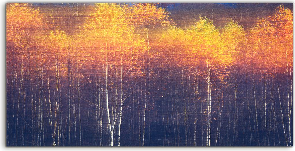 Coloray Spritzschutz aus Glas 120x60 Wandkunst Küchenrückwand Herbstlicher Hintergrund mit Bewegung