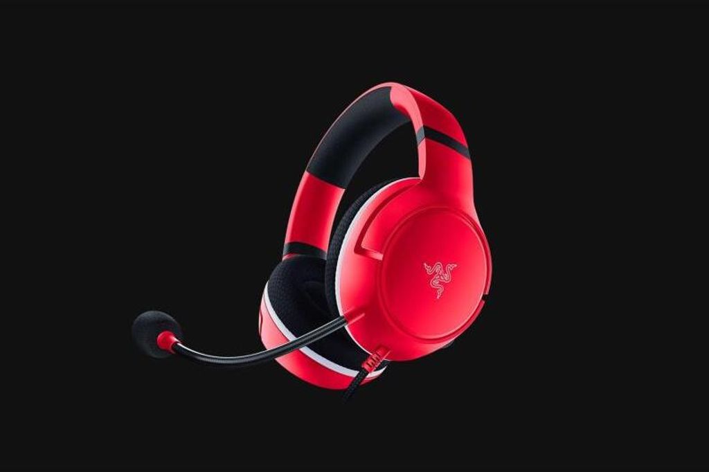 Razer Essential Duo Bundle Headset Wired Earbud Gaming Obrázek produktu 2